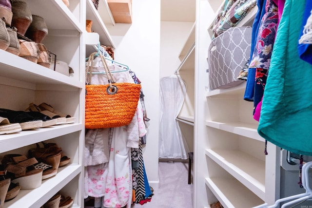 walk in closet with carpet