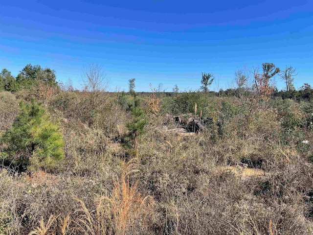 700 Arizona Ln, Star City AR, 71667 land for sale