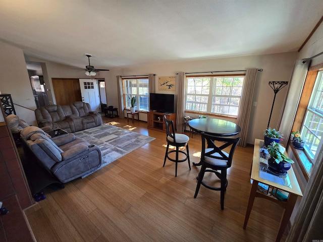 living room featuring ceiling fan and wood-type flooring