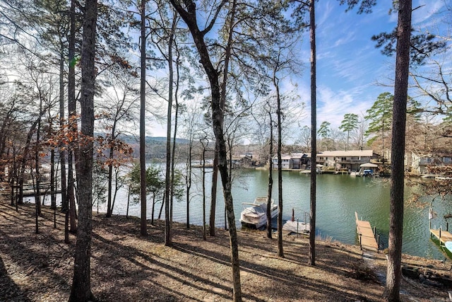 water view with a dock