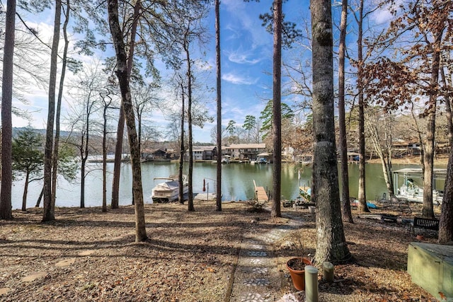 water view featuring a boat dock