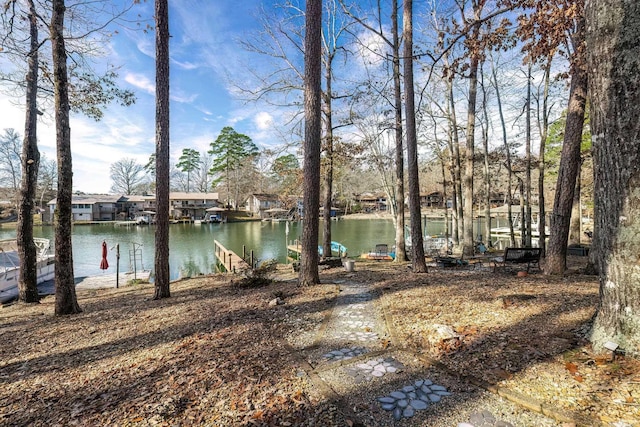 exterior space with a dock