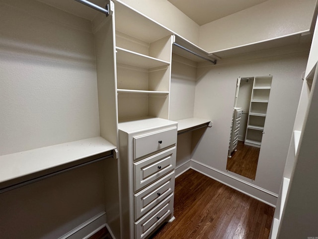 spacious closet featuring dark hardwood / wood-style flooring