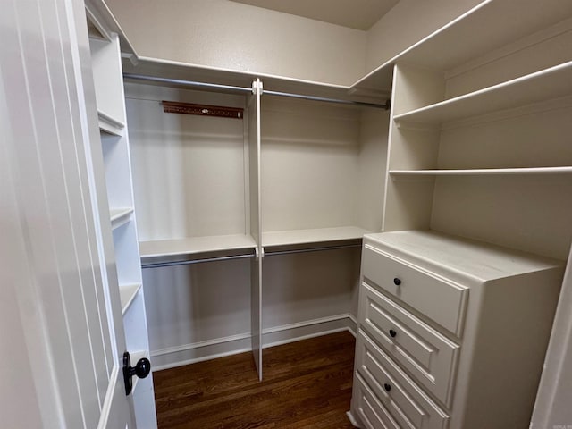 spacious closet with dark wood-type flooring