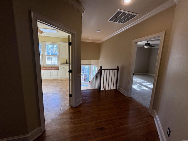 corridor featuring a healthy amount of sunlight, wood-type flooring, and crown molding