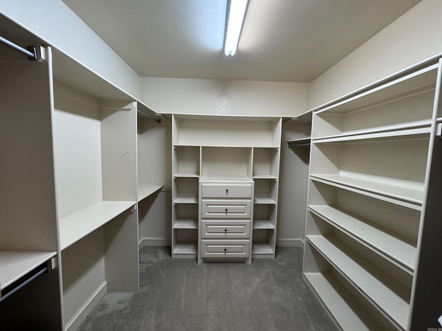 walk in closet with dark colored carpet