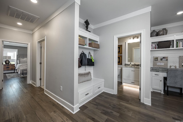 mudroom with dark hardwood / wood-style flooring, ornamental molding, and sink