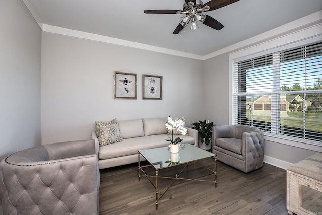 living room featuring ceiling fan, dark hardwood / wood-style flooring, and crown molding