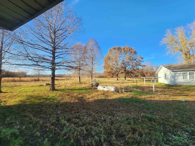 view of yard with a rural view