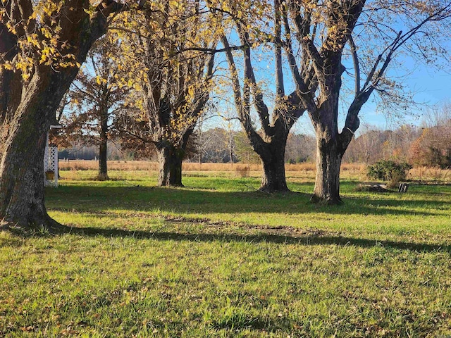 view of yard with a rural view