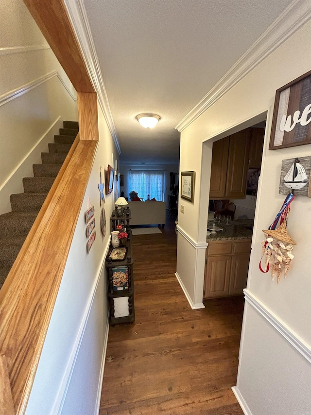 corridor with crown molding, dark wood-type flooring, and a textured ceiling