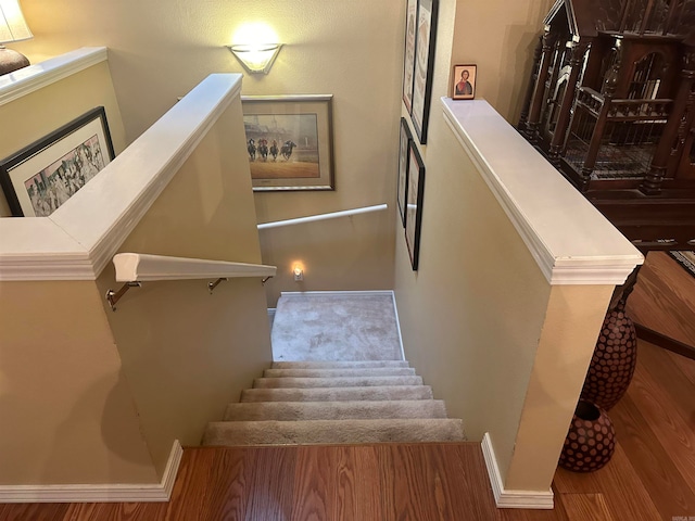 staircase with wood-type flooring