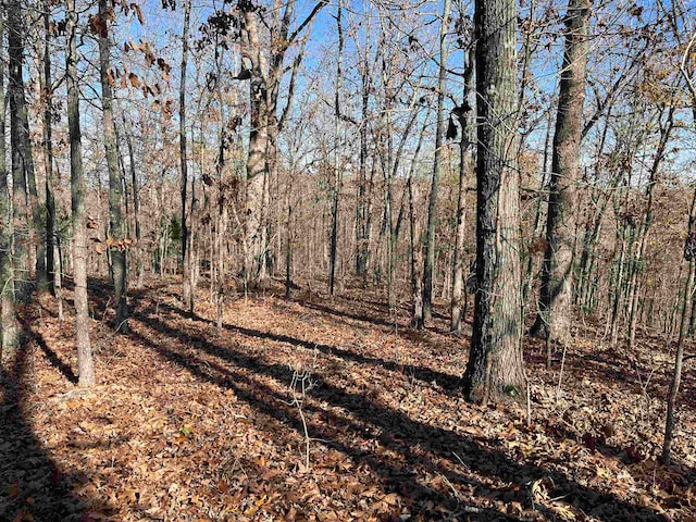 Listing photo 3 for TBD W Waketa Dr, Cherokee Village AR 72529