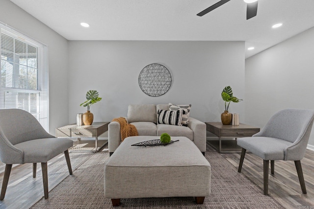 living room featuring ceiling fan and hardwood / wood-style floors