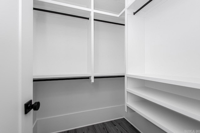 spacious closet featuring dark wood-type flooring