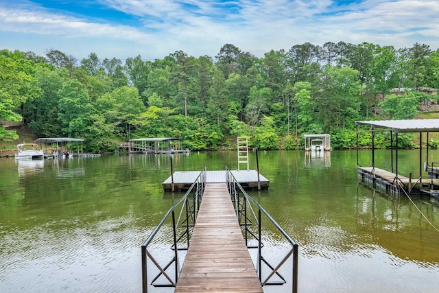 dock area with a water view