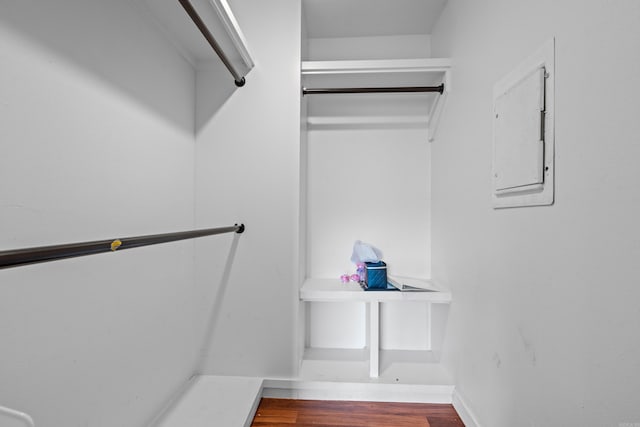 spacious closet featuring electric panel and hardwood / wood-style floors