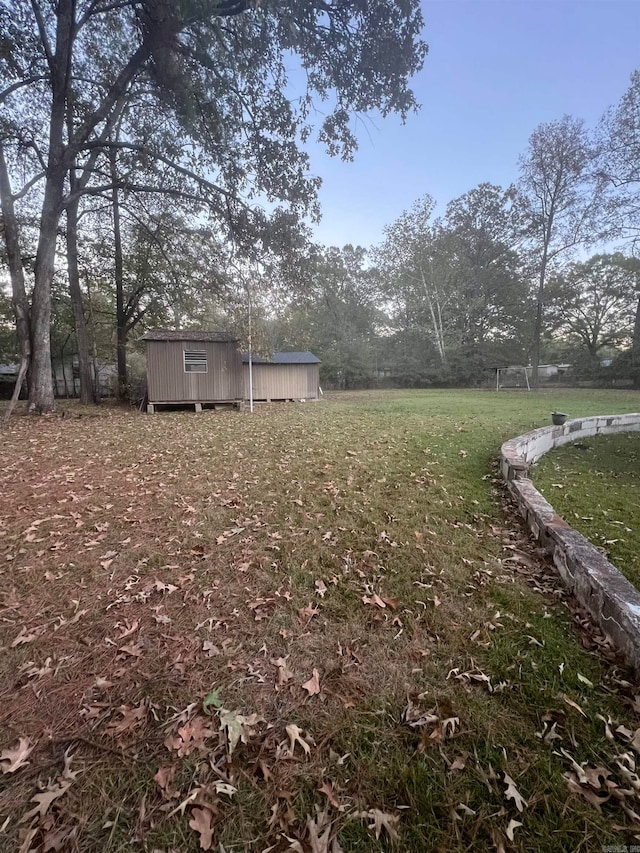 view of yard with a storage shed