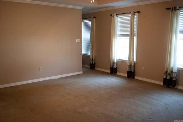 unfurnished room with carpet and crown molding