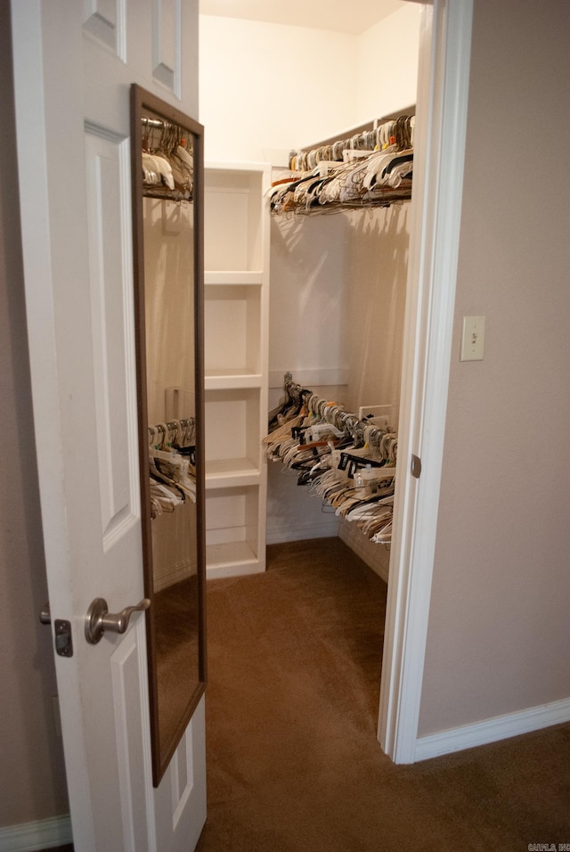 spacious closet with carpet floors