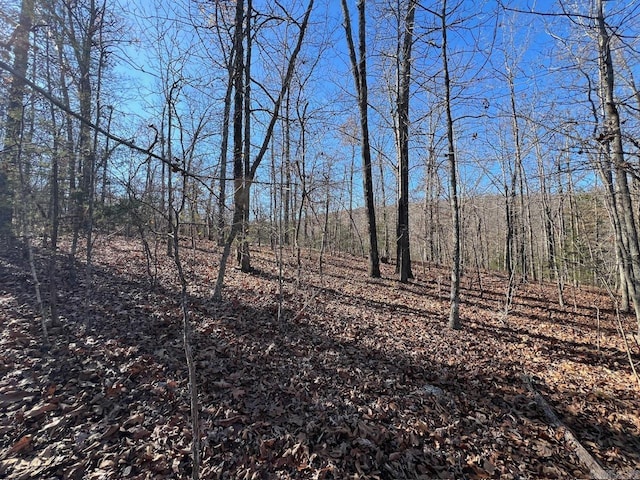 Listing photo 2 for 000 White Horse Mountain Rd, Hardy AR 72542