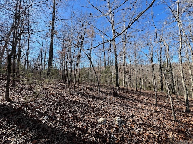 Listing photo 3 for 000 White Horse Mountain Rd, Hardy AR 72542