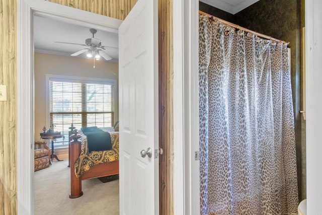 bathroom featuring a shower with curtain, ceiling fan, and ornamental molding