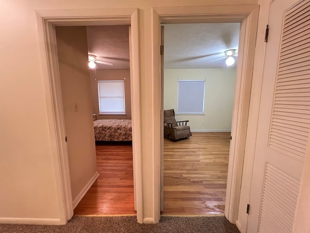 hallway featuring a textured ceiling and hardwood / wood-style flooring