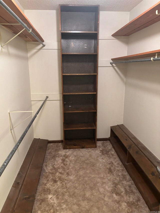 walk in closet featuring dark colored carpet