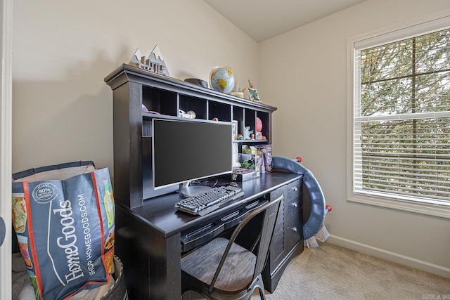 office featuring carpet flooring