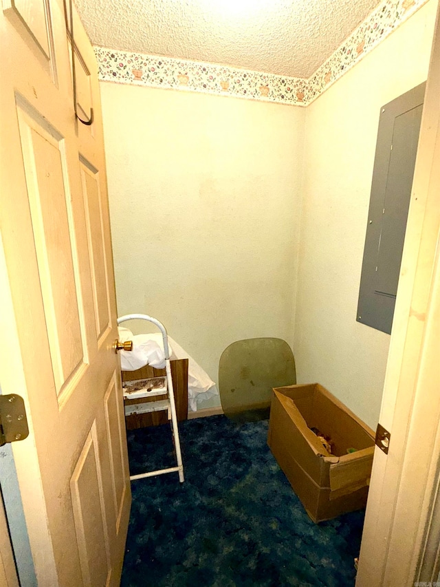 interior space with dark colored carpet, a textured ceiling, and electric panel