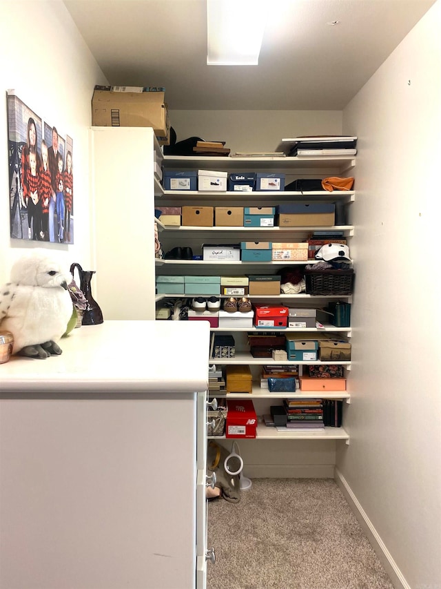 walk in closet featuring carpet flooring