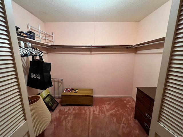 spacious closet featuring carpet