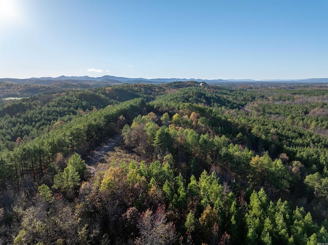 Listing photo 3 for LOT13 Polk Road 617, Mena AR 71953