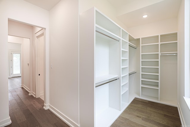 walk in closet featuring dark wood-type flooring