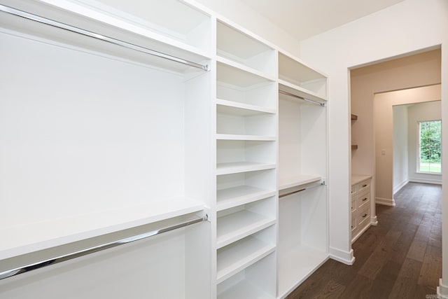 walk in closet featuring dark hardwood / wood-style floors