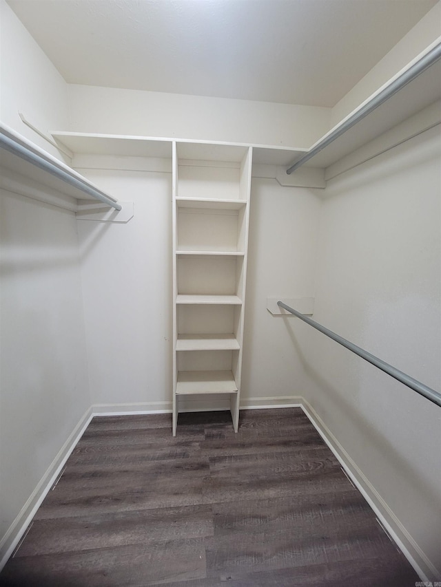 walk in closet featuring dark hardwood / wood-style floors