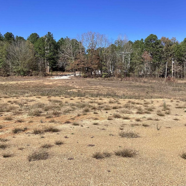 Listing photo 3 for 289 Rice Rd, Amity AR 71921