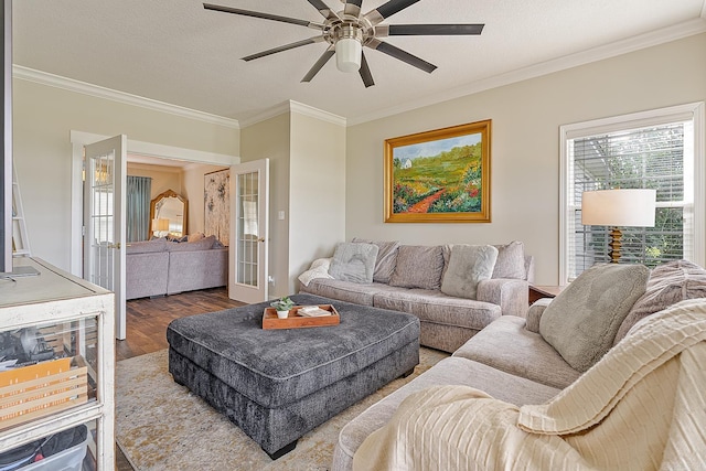 living room with hardwood / wood-style floors, a textured ceiling, and ornamental molding