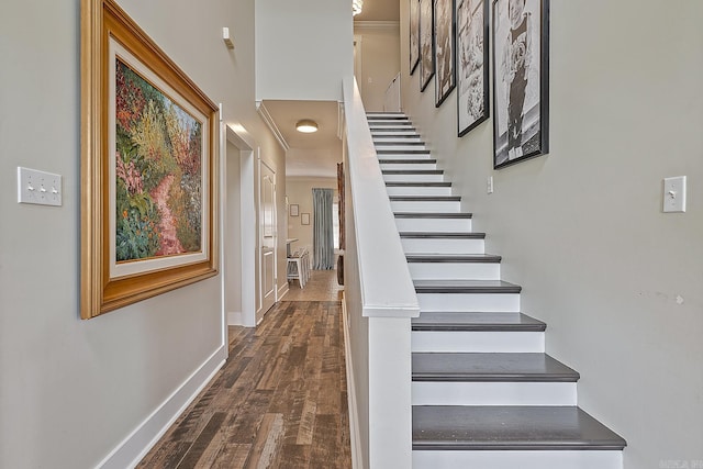 staircase with hardwood / wood-style floors