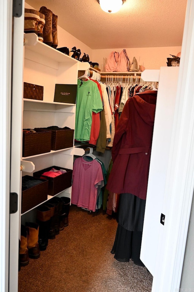 walk in closet with carpet