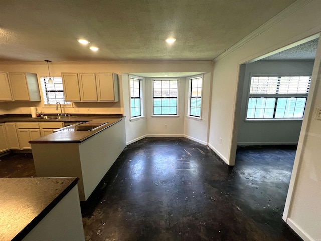 kitchen featuring decorative light fixtures, a healthy amount of sunlight, ornamental molding, and a textured ceiling