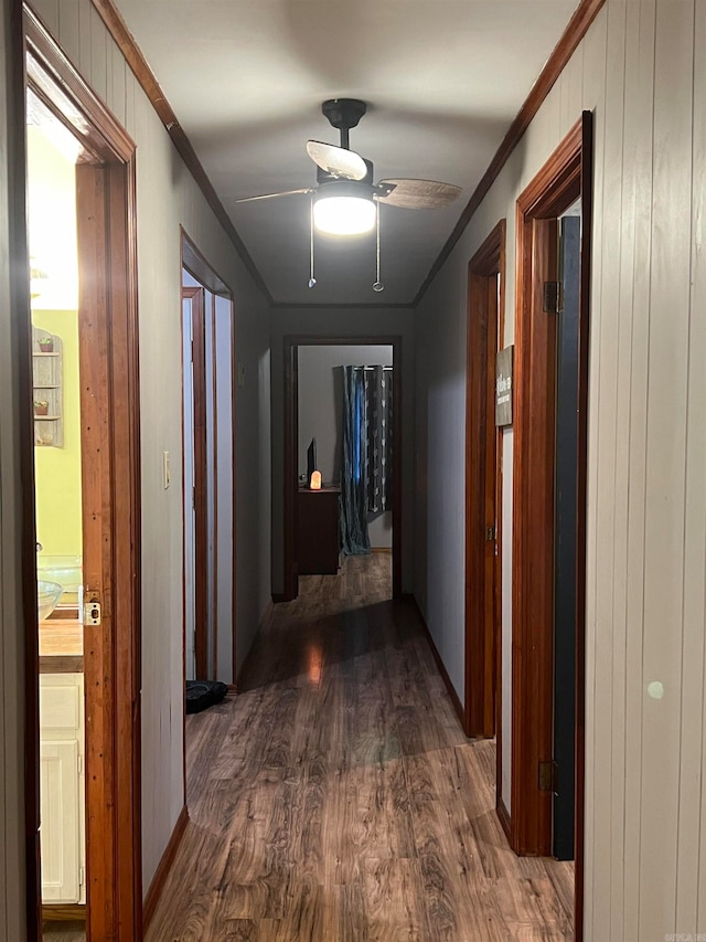 corridor with dark hardwood / wood-style floors, crown molding, and wood walls