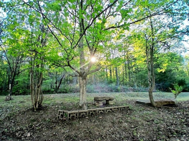 802 Casey St, Leslie, AR 72645 - view of yard