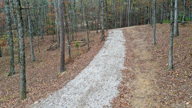 view of road