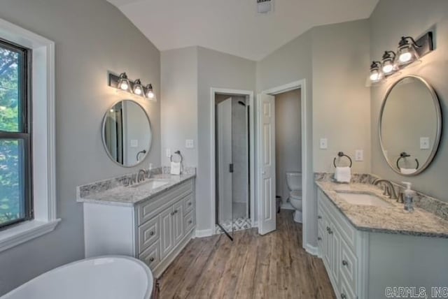 bathroom with toilet, vanity, vaulted ceiling, and hardwood / wood-style flooring