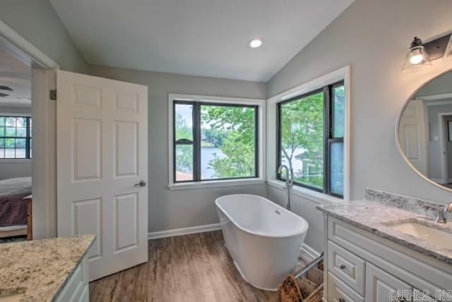 bathroom with hardwood / wood-style flooring, vanity, a wealth of natural light, and vaulted ceiling