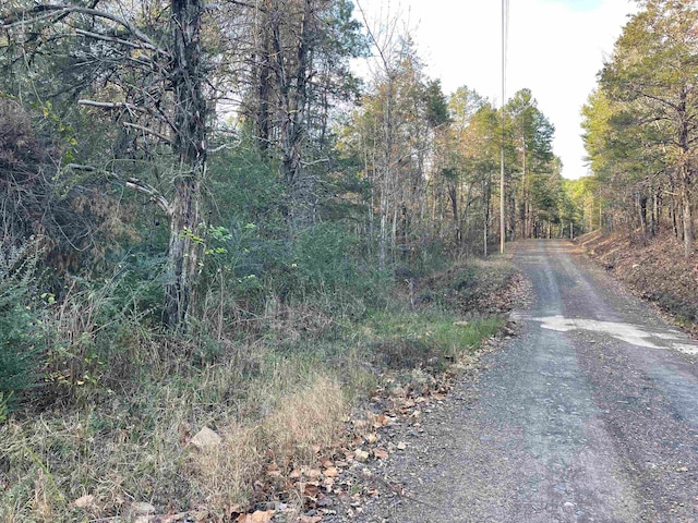 Address Not Disclosed, Shirley AR, 72153 land for sale