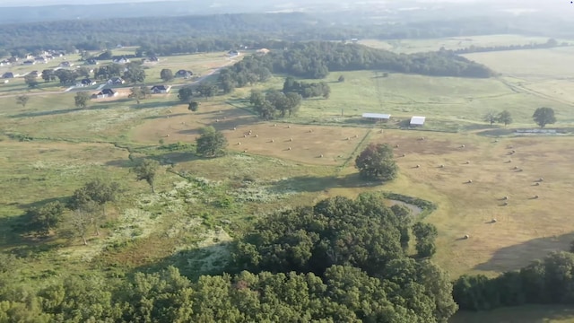 Listing photo 3 for 41ACRES Cash Springs Rd, Greenbrier AR 72058