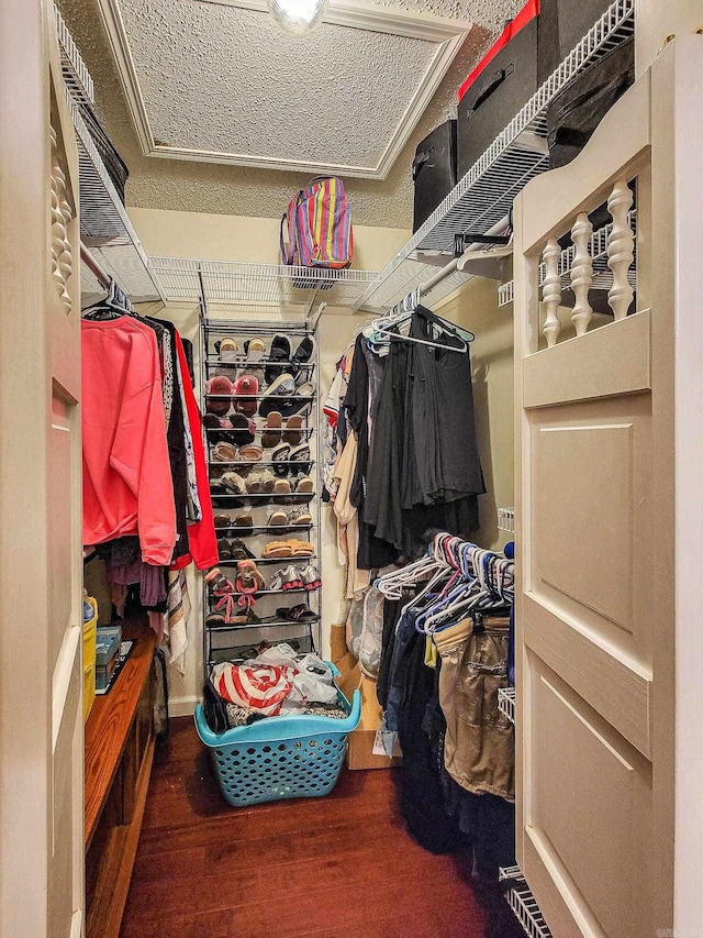 spacious closet featuring dark hardwood / wood-style flooring